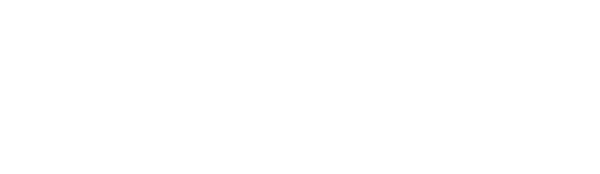 Adwiser_logo-valkoinen